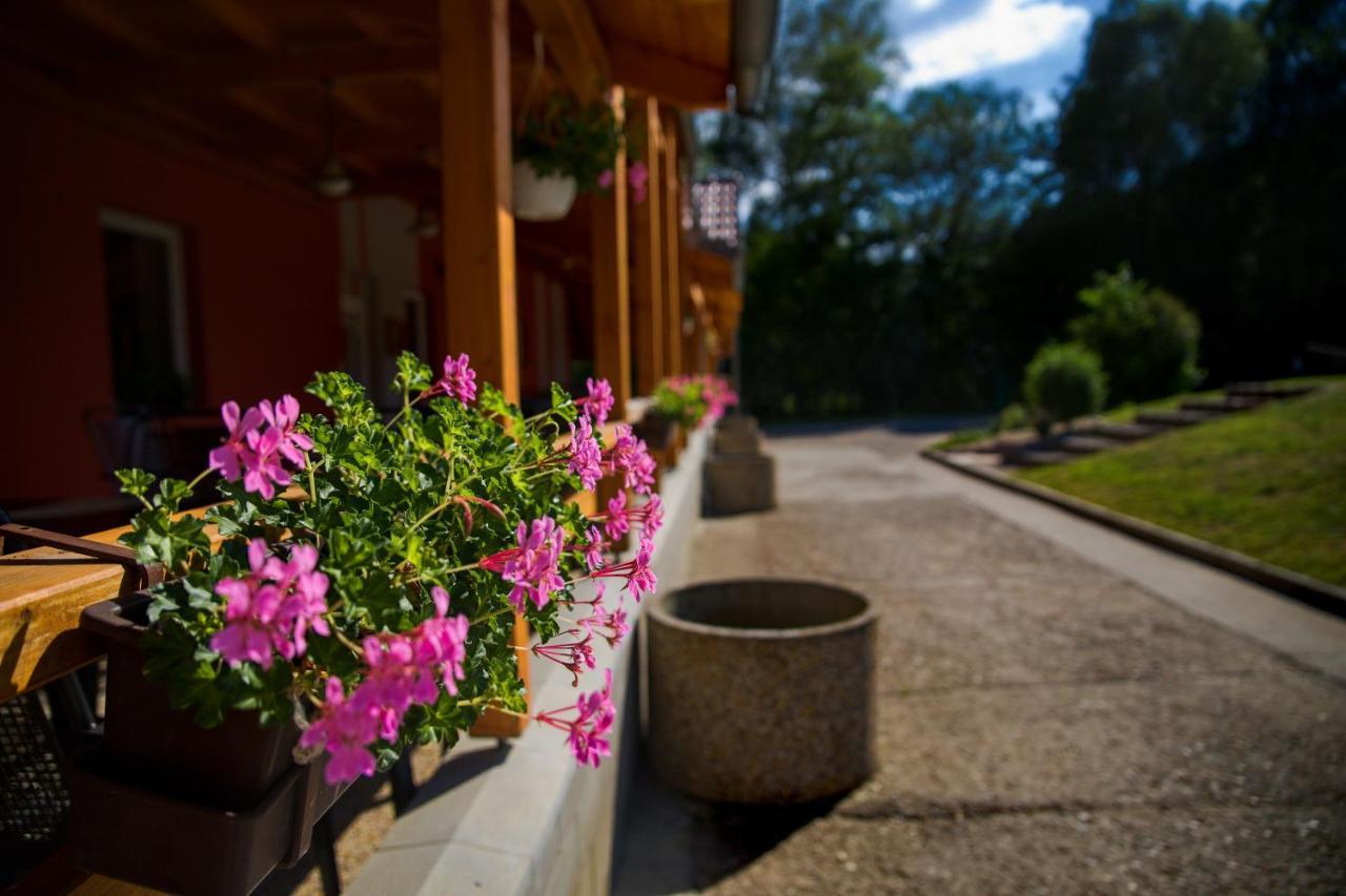 Penzion Amfik Bukovina Popovice  Exterior photo